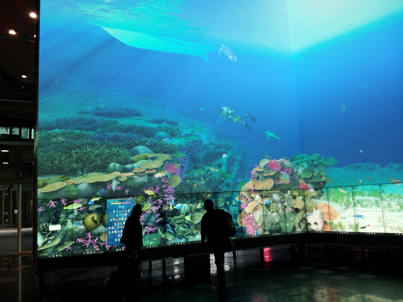 Helen and Andrew exploring virtual Great Barrier Reef in the Cube